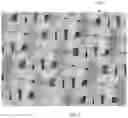Fig. 03 - Absorbent structures with high absorbency and low basis weight