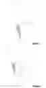Fig. 04 - Absorbent structures with high absorbency and low basis weight