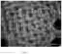 Fig. 10 - Absorbent structures with high absorbency and low basis weight