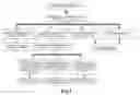 Fig. 02 - Rapid detection method for condition of landfill leachate polluting groundwater and application thereof