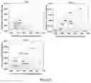 Fig. 06 - Rapid detection method for condition of landfill leachate polluting groundwater and application thereof