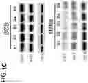 Fig. 04 - Systems and methods for diagnosing and treating chronic organ rejection