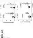 Fig. 13 - Systems and methods for diagnosing and treating chronic organ rejection