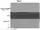Fig. 09 - Optical thin film having metal layer containing silver and high standard electrode potential metal