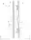 Fig. 11 - Light-emitting device, display apparatus, and lighting apparatus