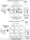 Fig. 01 - Transitive tensor analysis for detection of network activities