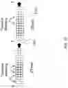 Fig. 15 - Transitive tensor analysis for detection of network activities