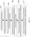 Fig. 16 - Transitive tensor analysis for detection of network activities