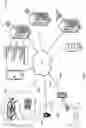 Fig. 02 - SYSTEMS, METHODS, AND DEVICES FOR BIOPHYSICAL MODELING AND RESPONSE PREDICTION