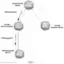 Fig. 02 - System and method for propagating anima network objective changes