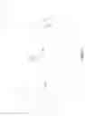 Fig. 02 - Back-off timer per SSB in NR