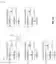 Fig. 09 - Enhanced Communication Module for Lighting Control