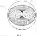 Fig. 07 - Nanoplasmoid suspensions and systems and devices for the generation thereof