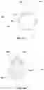 Fig. 15 - Nanoplasmoid suspensions and systems and devices for the generation thereof