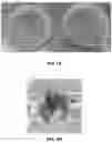 Fig. 09 - METHOD OF PRODUCING PATHOGEN-FREE CANNABIS PLANTS AND PATHOGEN-FREE PLANTS AND CLONES PRODUCED THEREFROM