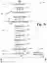 Fig. 03 - Interactive anterior-posterior axis determination