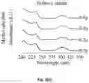 Fig. 04 - Method for revealing resin-based composites