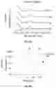 Fig. 07 - Method for revealing resin-based composites