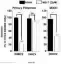 Fig. 06 - NEW METHOD FOR TREATING DENGUE VIRUS INFECTION
