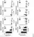 Fig. 03 - Chimeric antigen receptor specific for BDCA2 antigen