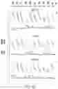 Fig. 33 - Compositions and methods for combinatorial drug discovery in nanoliter droplets