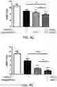 Fig. 07 - Pharmaceutical composition for preventing or treating diabetes, containing zinc salt, cyclo-hispro and antidiabetic drug as active ingredients