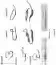 Fig. 49 - PIF-TRANSFECTED CELLS AND METHODS OF USE