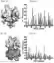 Fig. 05 - Methods of treating inflammation with monomeric CXCL12 peptide