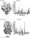 Fig. 06 - Methods of treating inflammation with monomeric CXCL12 peptide