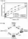 Fig. 09 - Methods of treating inflammation with monomeric CXCL12 peptide