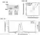 Fig. 10 - Methods of treating inflammation with monomeric CXCL12 peptide