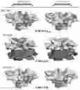 Fig. 11 - Methods of treating inflammation with monomeric CXCL12 peptide