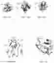 Fig. 19 - Methods of treating inflammation with monomeric CXCL12 peptide