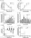 Fig. 28 - Methods of treating inflammation with monomeric CXCL12 peptide