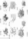 Fig. 32 - Methods of treating inflammation with monomeric CXCL12 peptide
