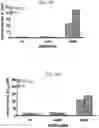 Fig. 33 - Methods of treating inflammation with monomeric CXCL12 peptide