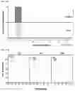 Fig. 38 - Methods of treating inflammation with monomeric CXCL12 peptide