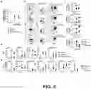 Fig. 04 - Compositions and methods to enhance cutaneous wound healing