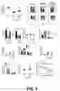 Fig. 06 - Compositions and methods to enhance cutaneous wound healing