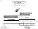 Fig. 02 - COMPOSITION FOR PROMOTING GOBLET CELL PROLIFERATION OR MUCIN SECRETION COMPRISING THYMOSIN BETA 4 OR DERIVATIVE THEREOF AS ACTIVE INGREDIENT