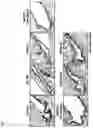 Fig. 03 - COMPOSITION FOR PROMOTING GOBLET CELL PROLIFERATION OR MUCIN SECRETION COMPRISING THYMOSIN BETA 4 OR DERIVATIVE THEREOF AS ACTIVE INGREDIENT