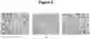 Fig. 09 - Collagen peptide-based medicament compositions and devices and methods of production and use thereof