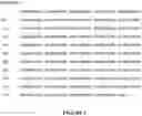 Fig. 02 - TPP-1 formulations and methods for treating CLN2 disease
