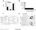 Fig. 06 - Immunogenic compositions and uses thereof