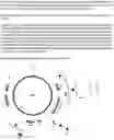 Fig. 07 - VIRUS LIKE PARTICLE PRODUCTION IN PLANTS
