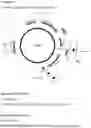 Fig. 15 - VIRUS LIKE PARTICLE PRODUCTION IN PLANTS