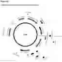 Fig. 25 - VIRUS LIKE PARTICLE PRODUCTION IN PLANTS