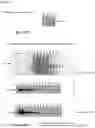 Fig. 26 - VIRUS LIKE PARTICLE PRODUCTION IN PLANTS