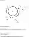 Fig. 33 - VIRUS LIKE PARTICLE PRODUCTION IN PLANTS