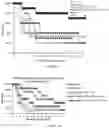 Fig. 02 - Compositions and methods for a multi-adjuvant only approach to immunoprophylaxis for preventing infections